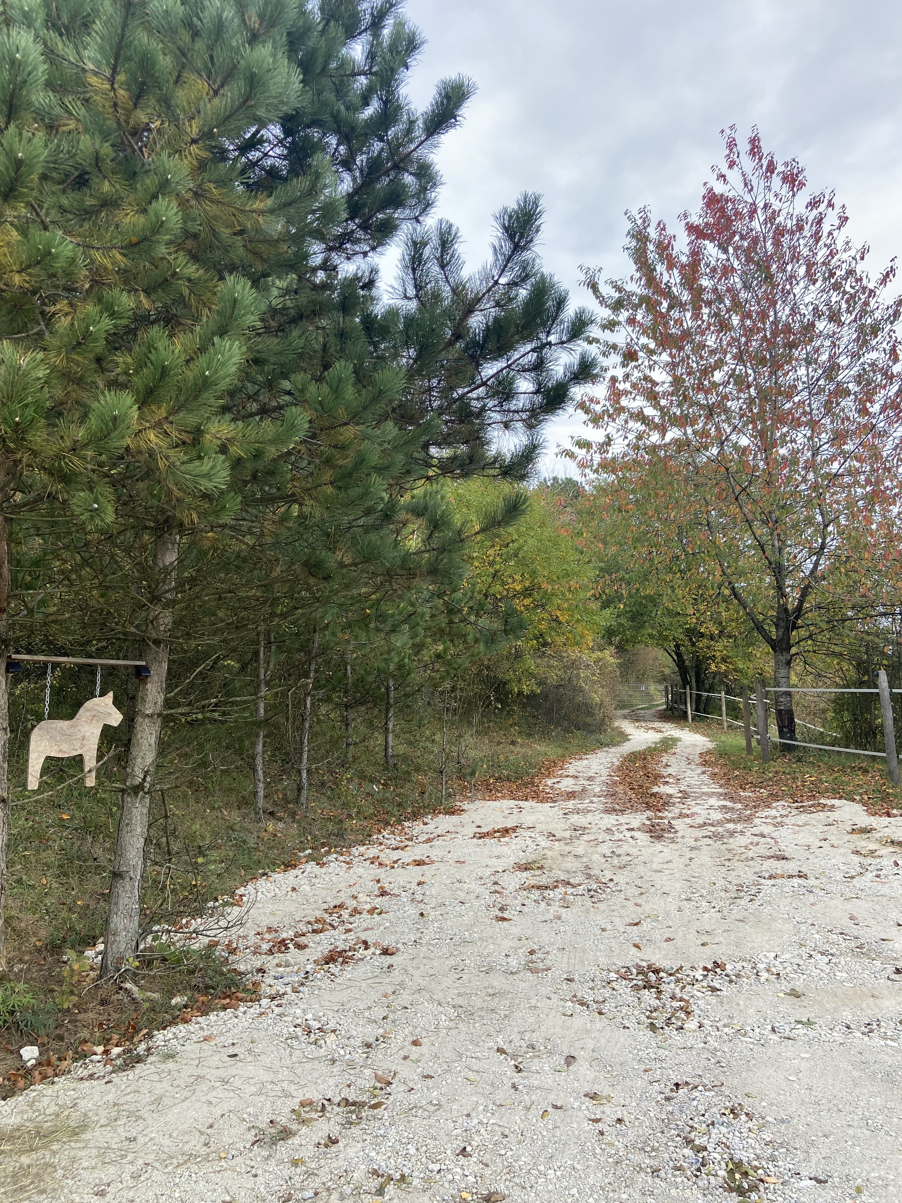Le domaine Equiboristerie